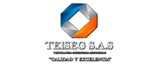 Un logotipo para una empresa llamada Teiseg Sas.