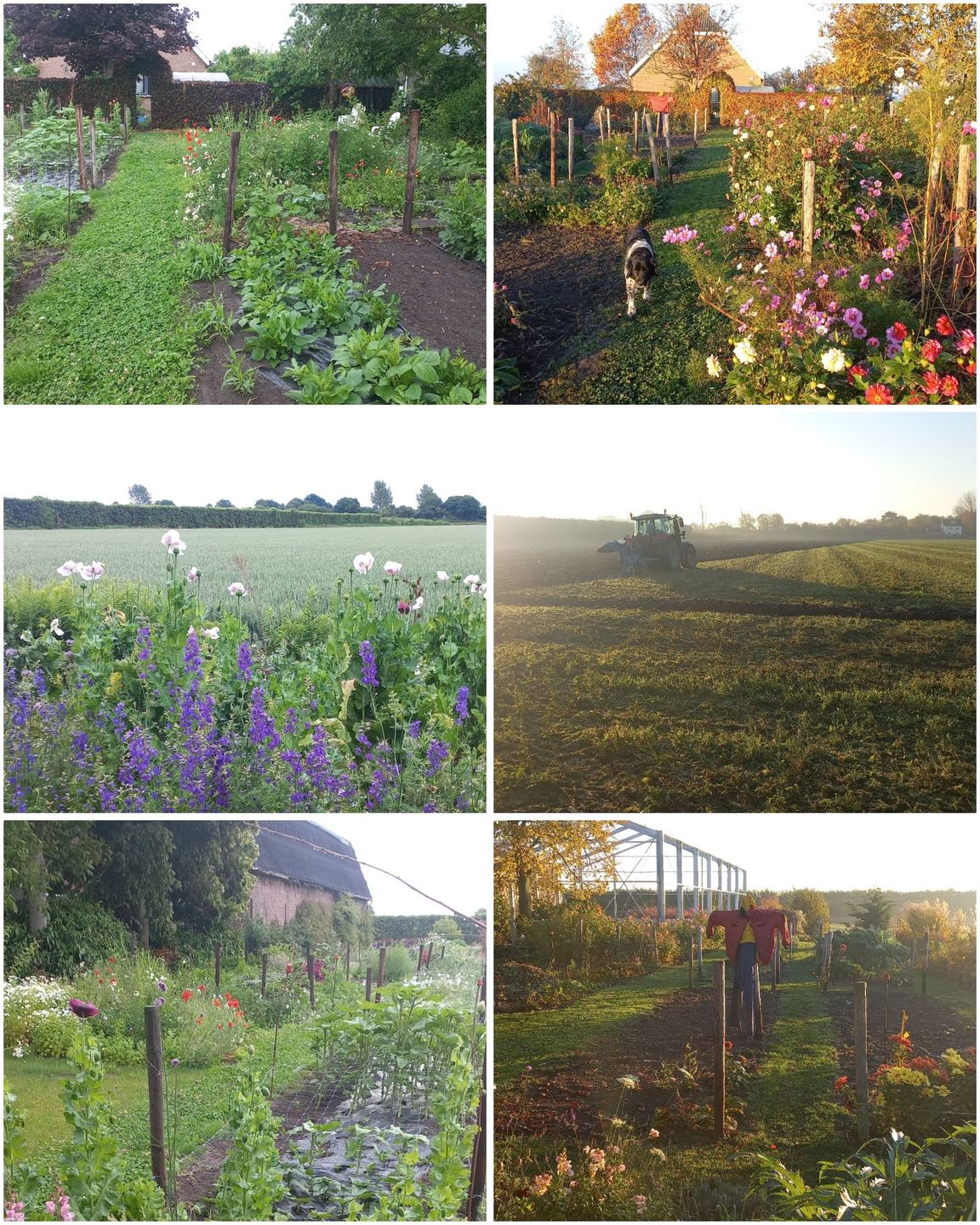 Lente en herfstbeeld van de pluktuin