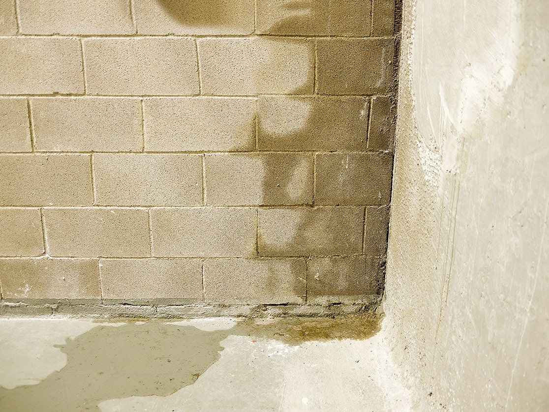 wet basement wall in Canton Ohio that needs foundation repair work