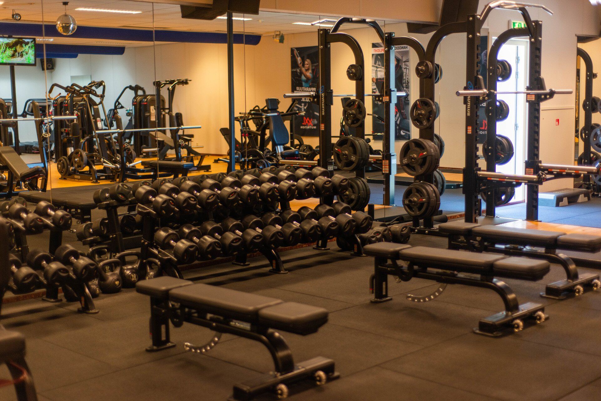 Een sportschool vol met veel dumbbells en bankjes.