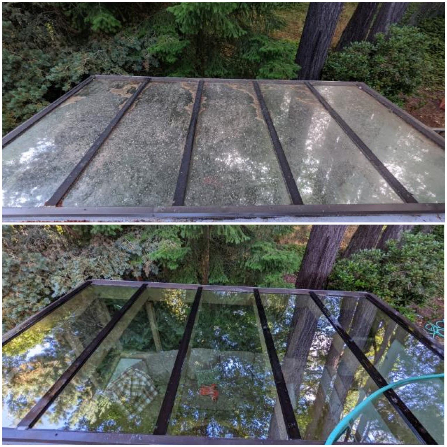 A before and after photo of a glass roof with trees in the background.