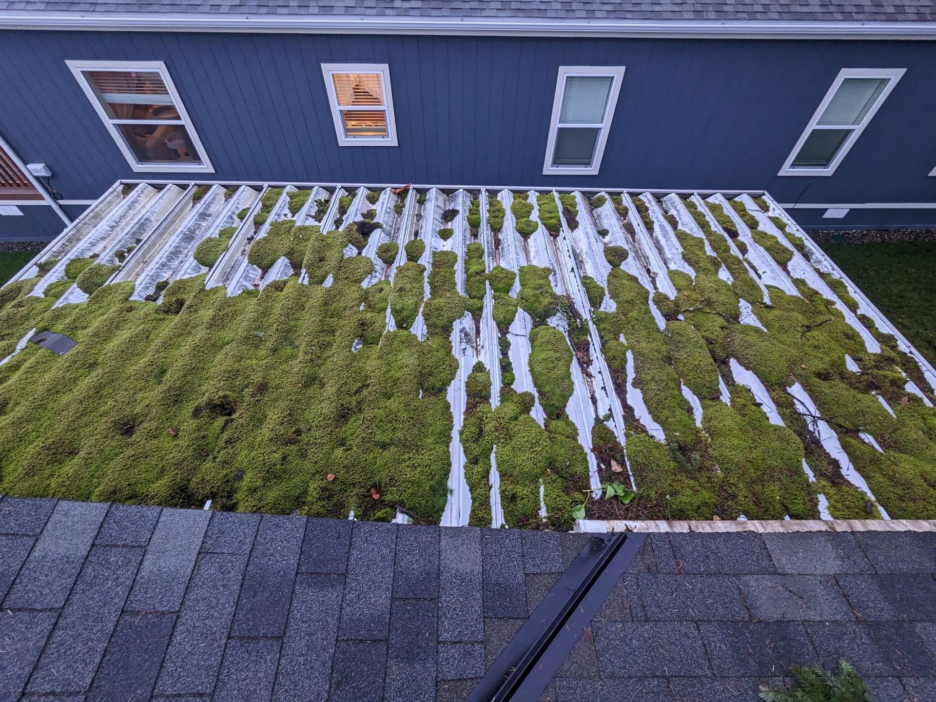 A roof with a lot of moss growing on it