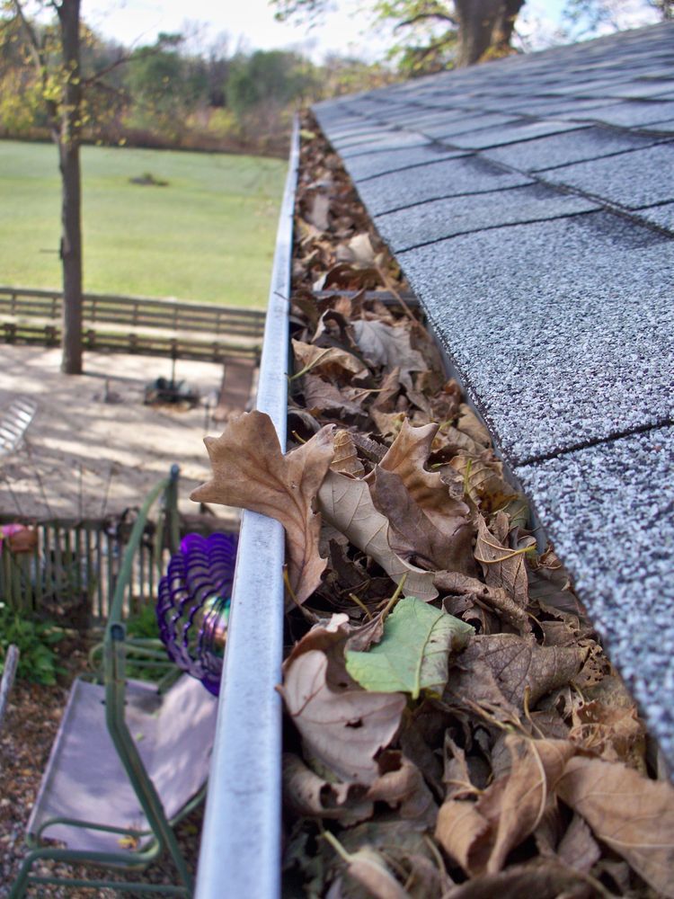 A gutter filled with leaves on top of a roof.