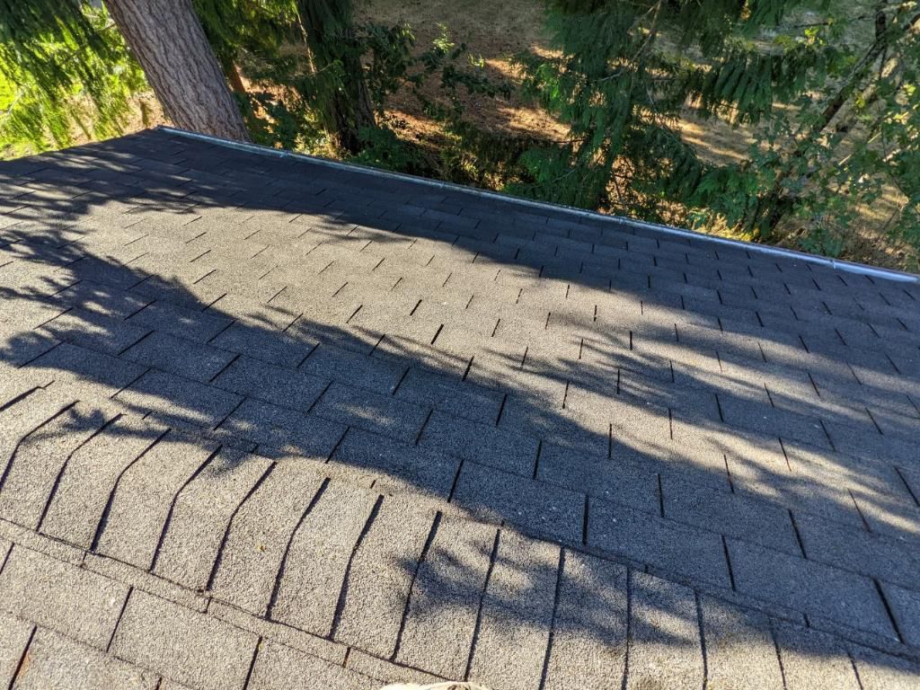 A close up of a roof with trees in the background.