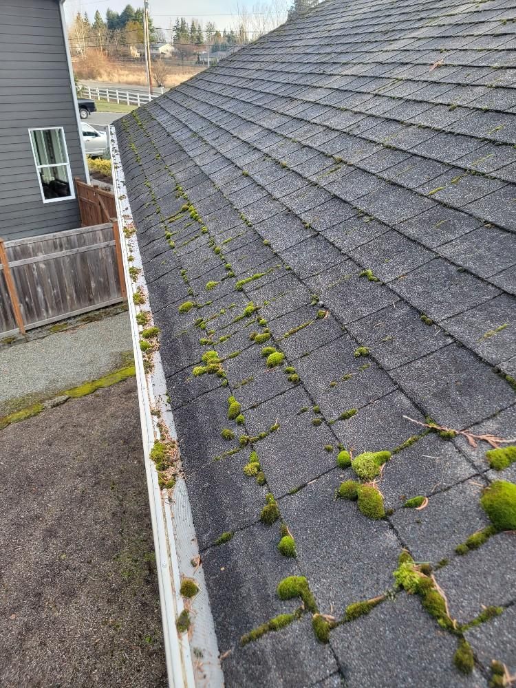 A roof with moss growing on it and a gutter.