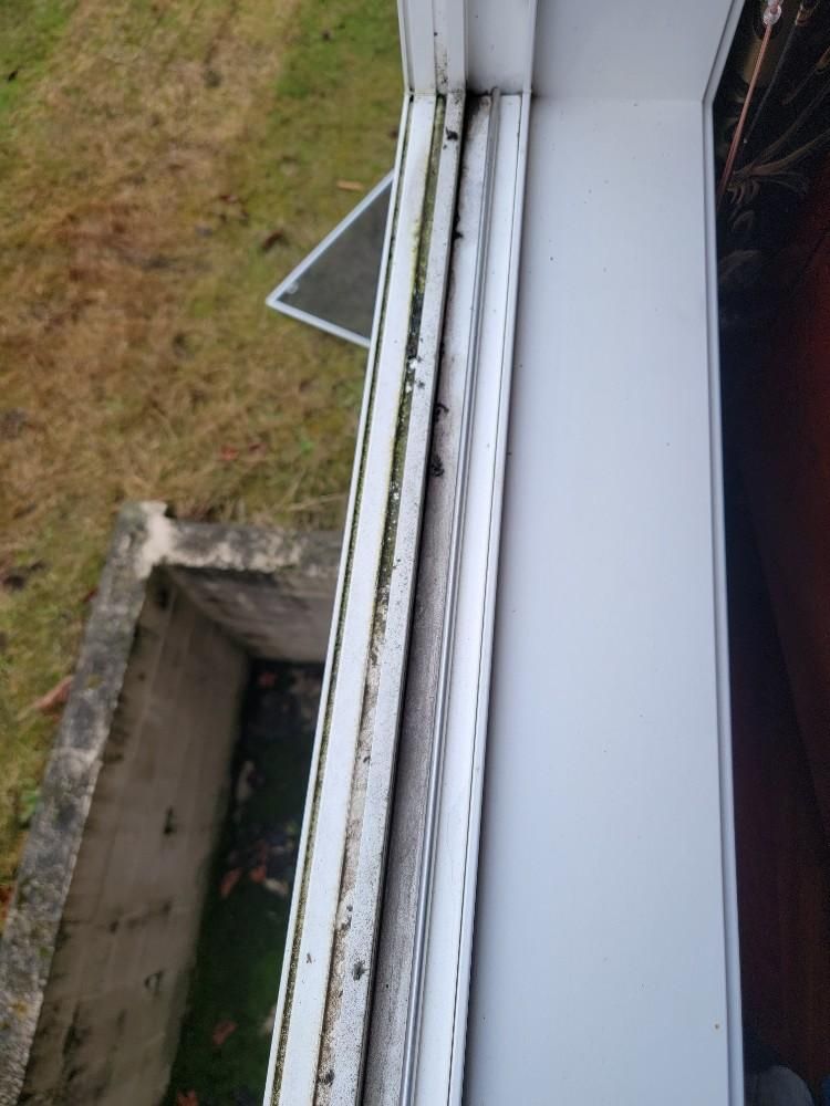 A close up of a window with moss growing on it.