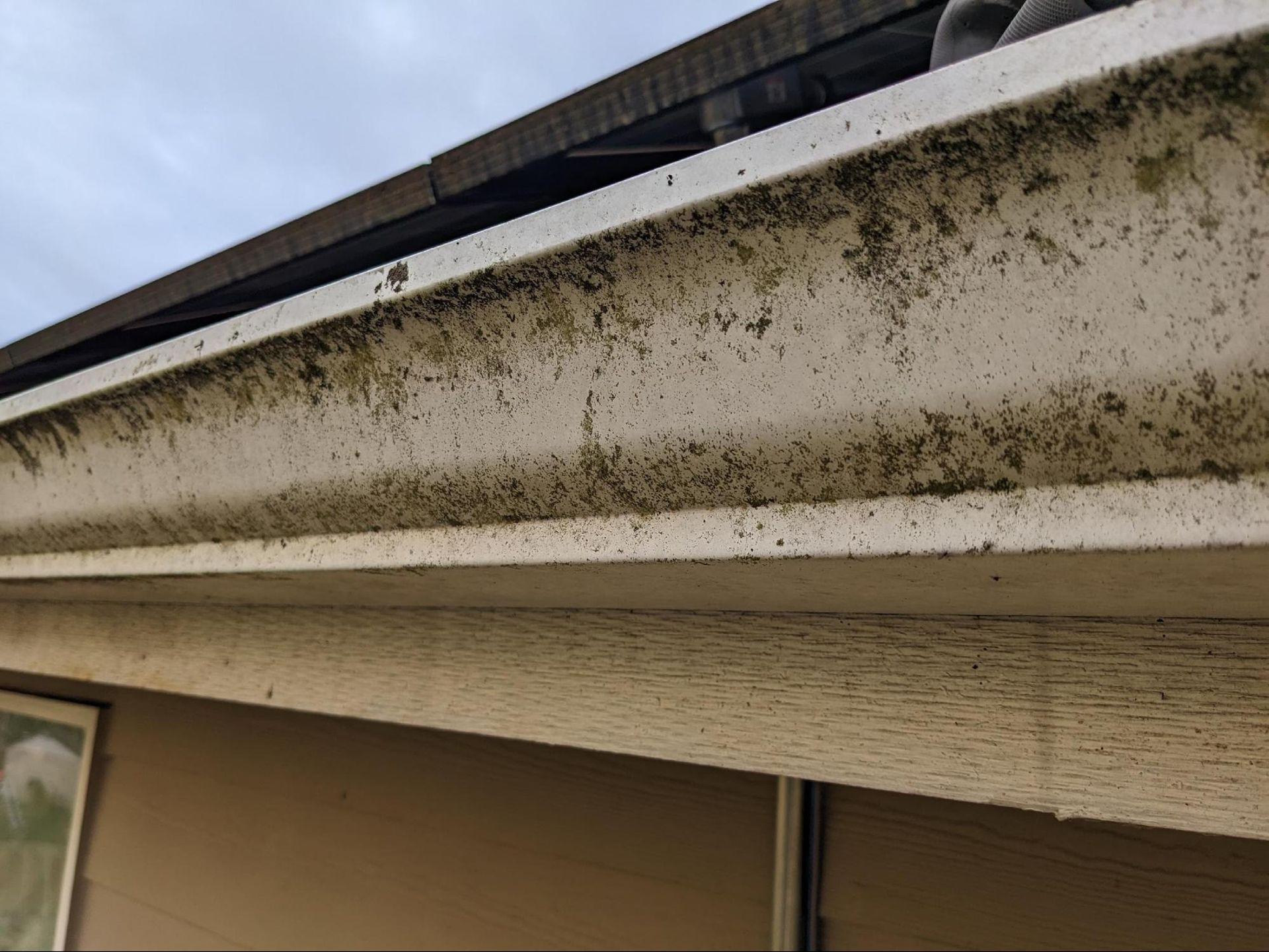 A dirty gutter on the side of a house.