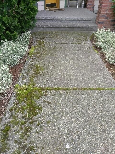 A concrete walkway with moss growing on it in front of a house.