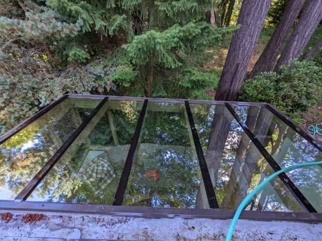 A green hose is connected to a glass roof with trees in the background.