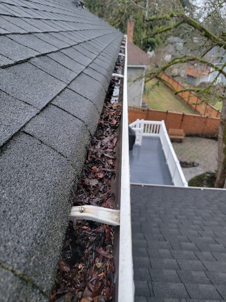 A gutter filled with leaves is sitting on top of a roof.