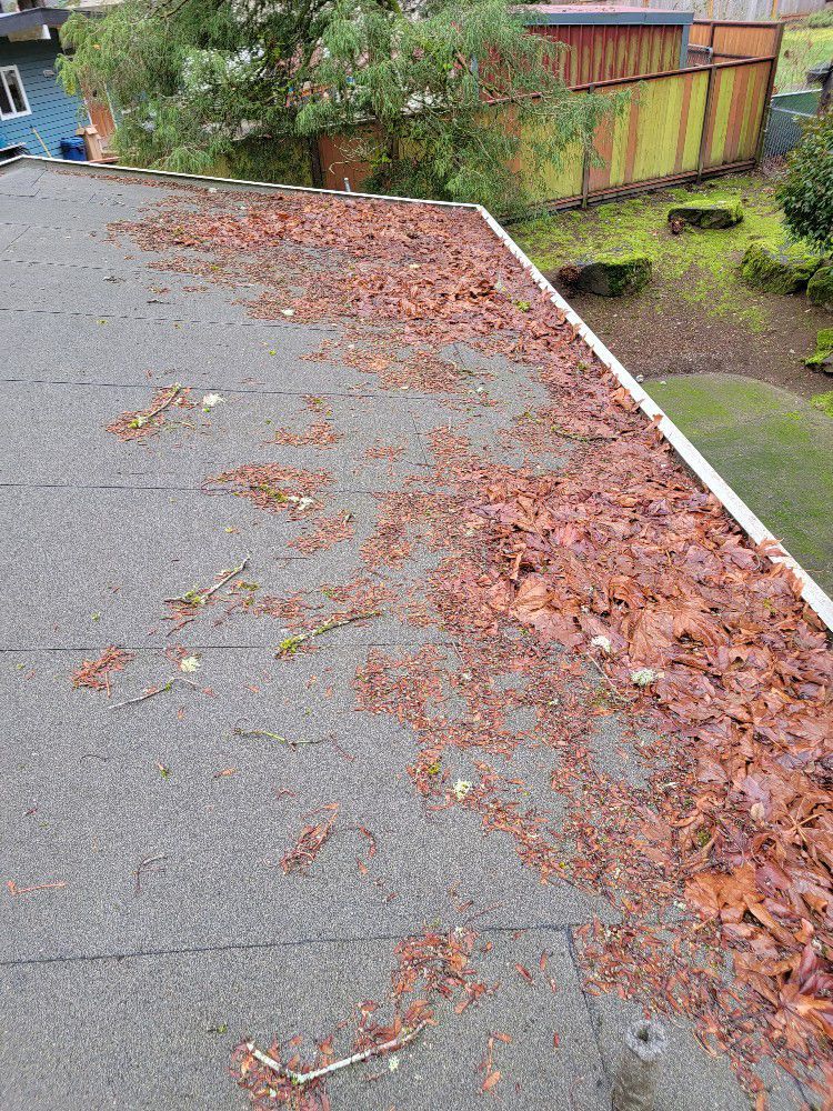 A roof with a lot of leaves on it.