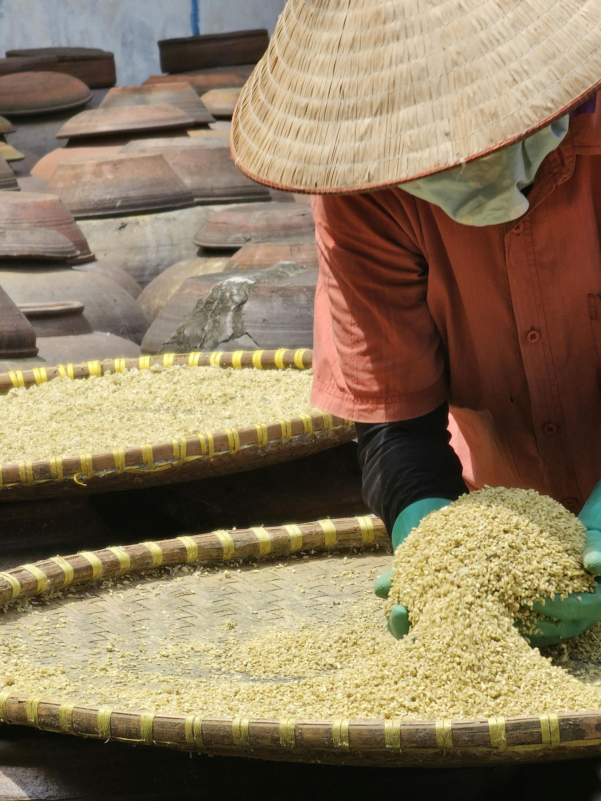 Person with straw hat sorting grains on trays; jars in background.