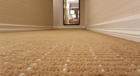 border carpet cleaning brown carpet spread