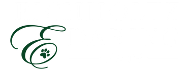 logo-image