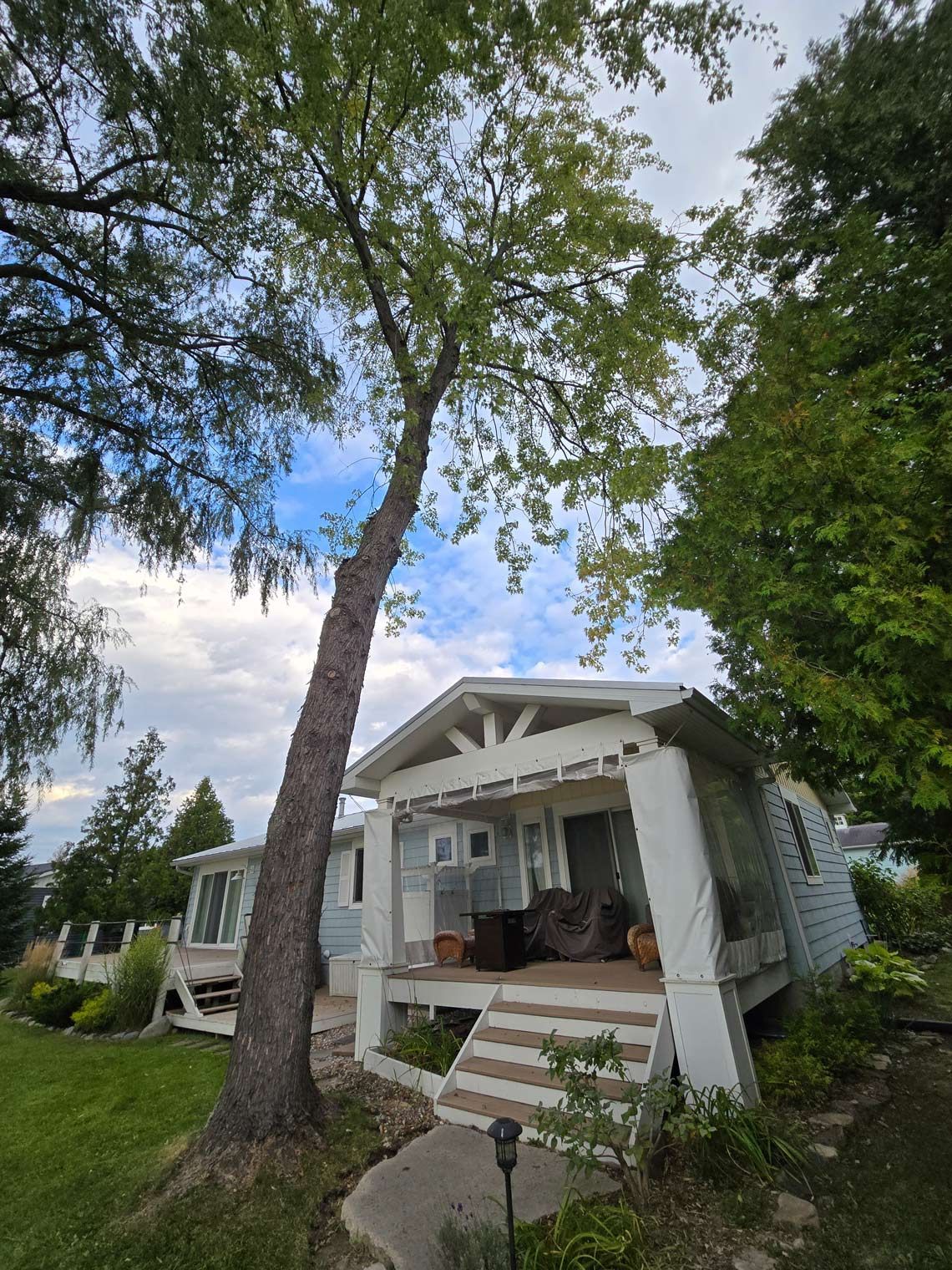 A white house with a tree in front of it - Gaylord, MI - Stuckman Tree Service