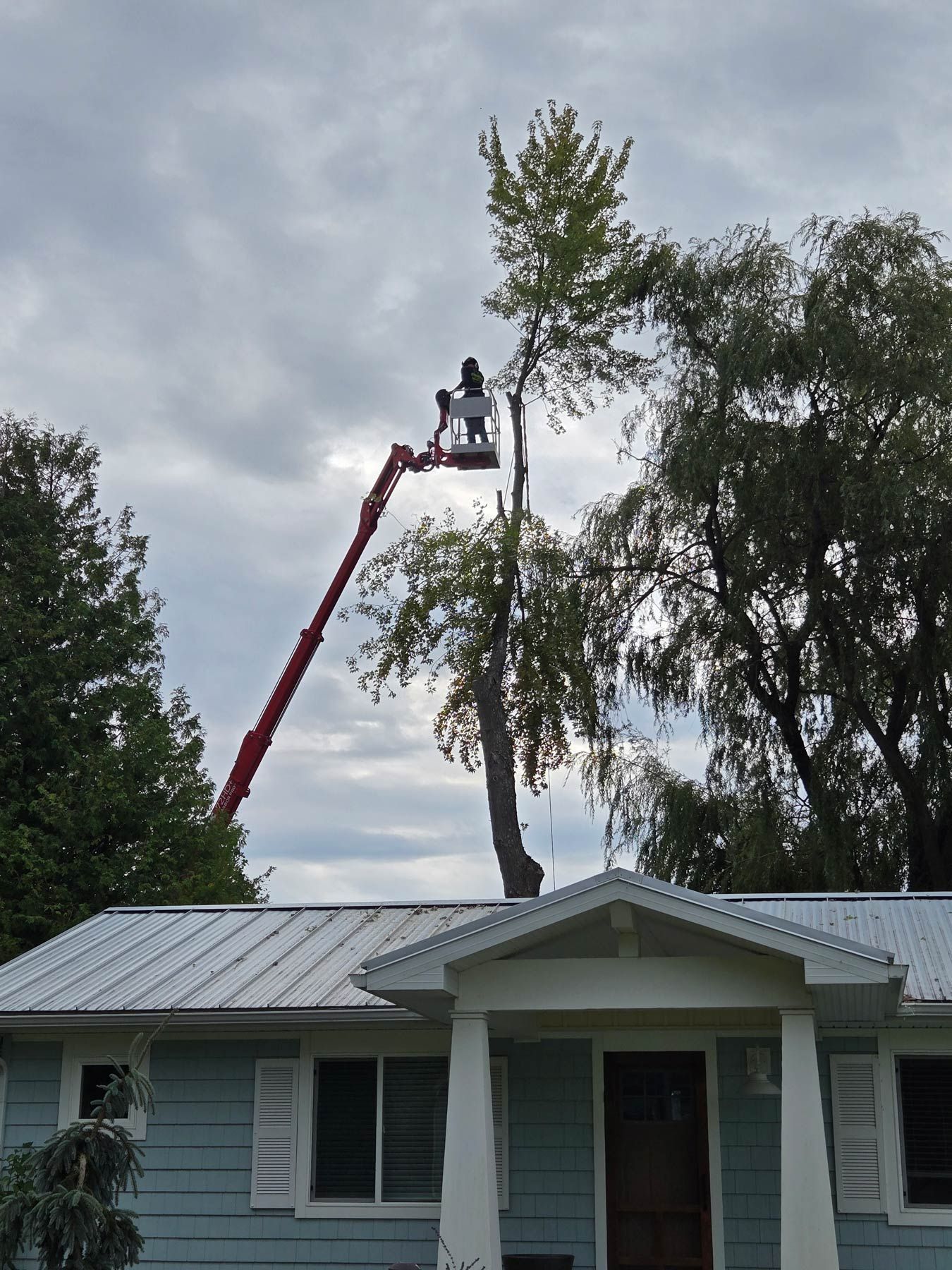 A man in a bucket is cutting a tree in front of a house - Gaylord, MI - Stuckman Tree Service