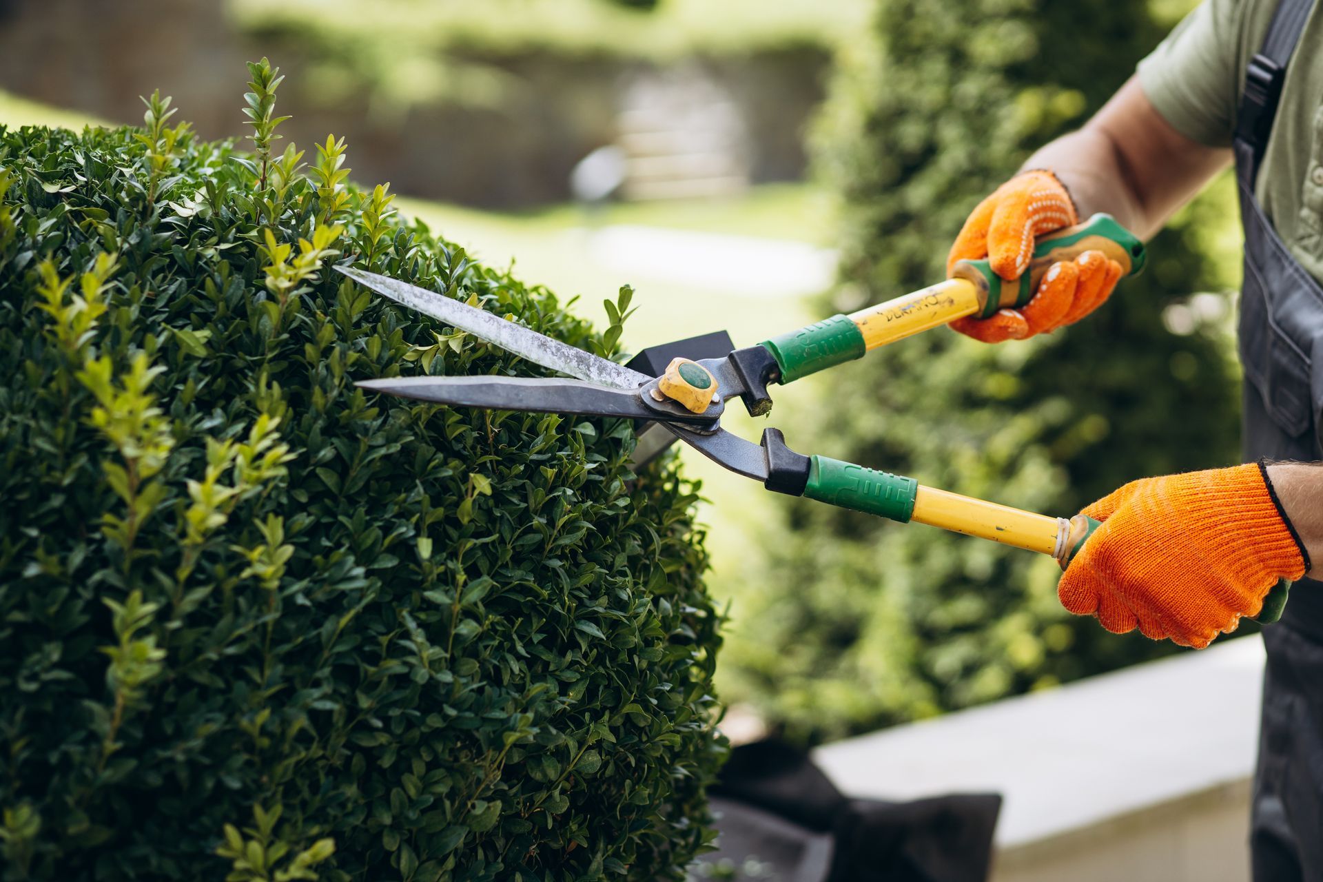 A tree service worker is trimming trees with scissors in the yard.