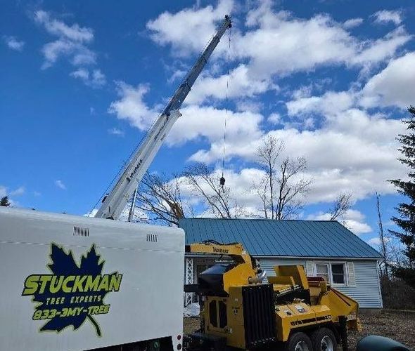 Tree service operation Tree service operation