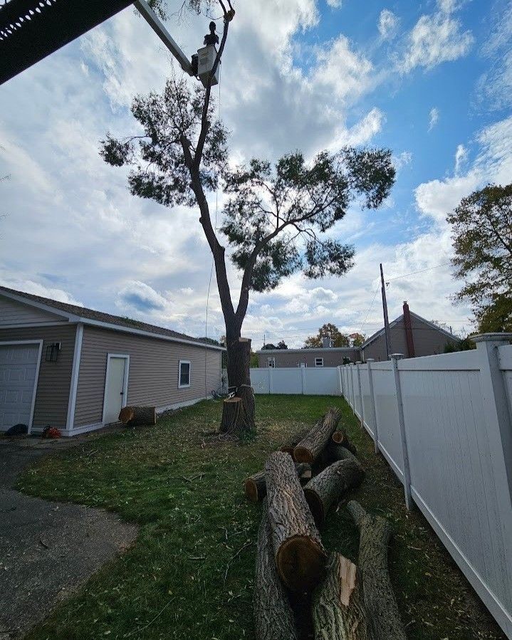 A tree is being cut down in the backyard of a house - Gaylord, MI - Stuckman Tree Service