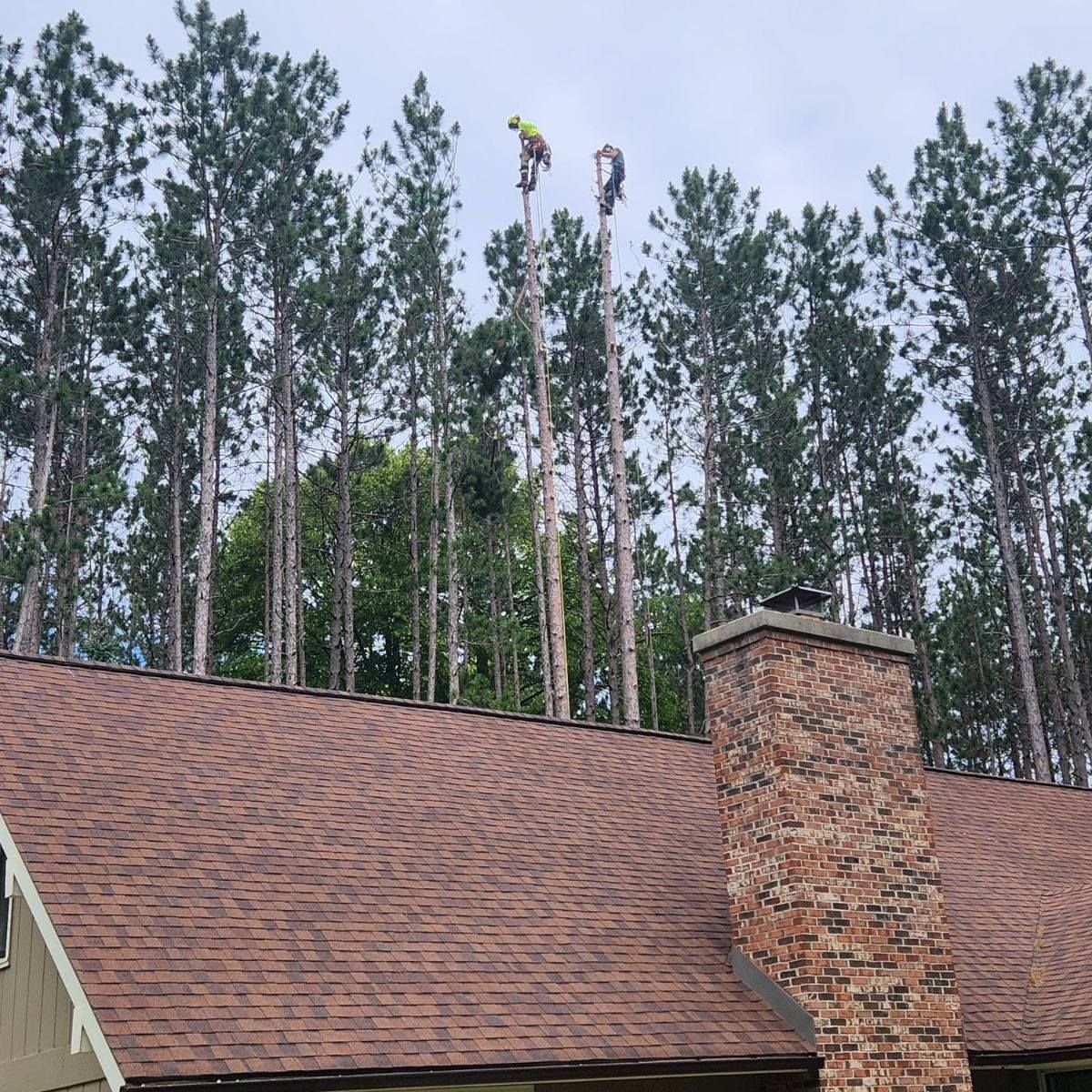 A roof with a chimney and trees in the background - Gaylord, MI - Stuckman Tree Service