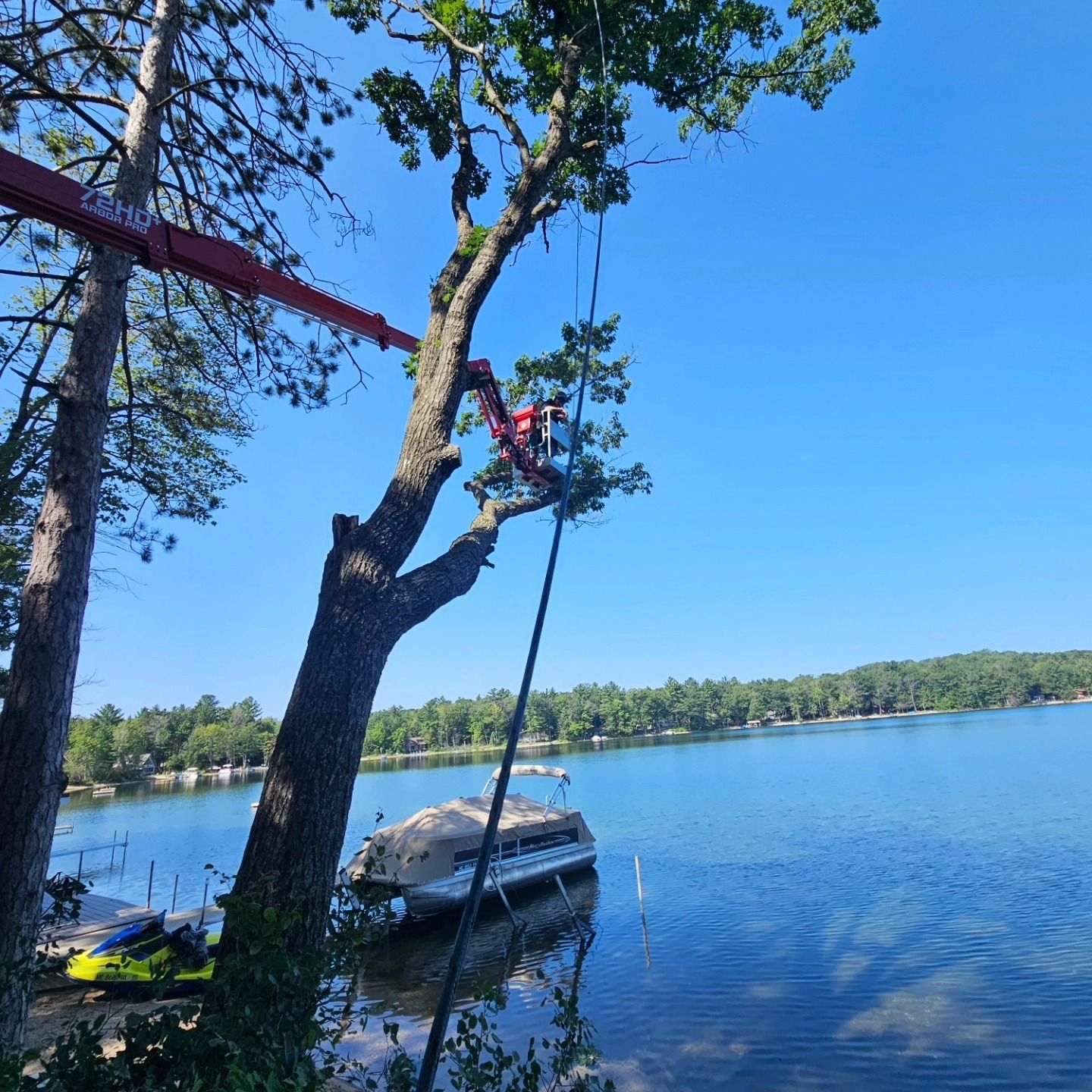 A man is cutting a tree next to a lake - Gaylord, MI - Stuckman Tree Service