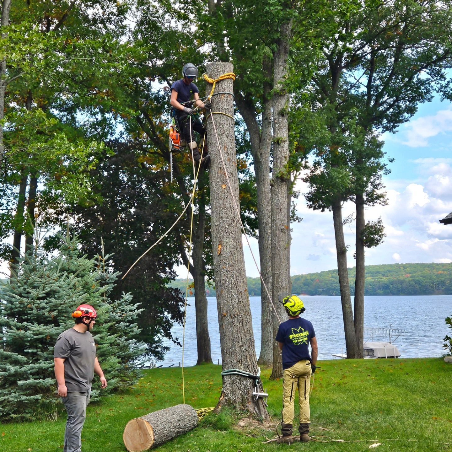 A man is climbing a tree while another man looks on - Gaylord, MI - Stuckman Tree Service