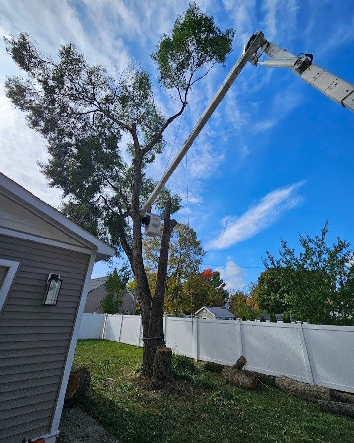A tree is being cut down by a crane in a backyard - Gaylord, MI - Stuckman Tree Service