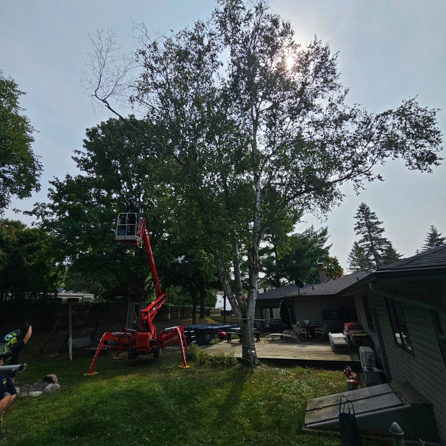A man is cutting a tree in a backyard with a crane - Gaylord, MI - Stuckman Tree Service