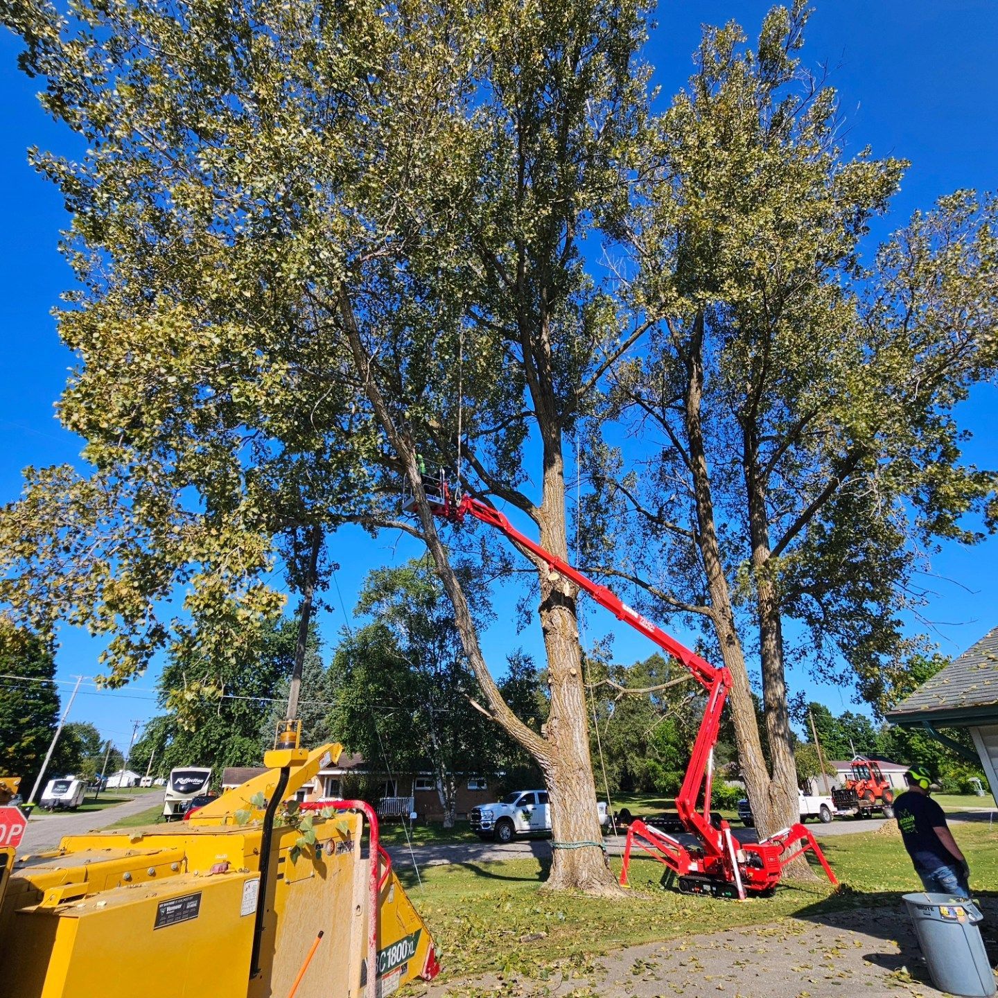 A tree is being cut down by a machine in a yard - Gaylord, MI - Stuckman Tree Service