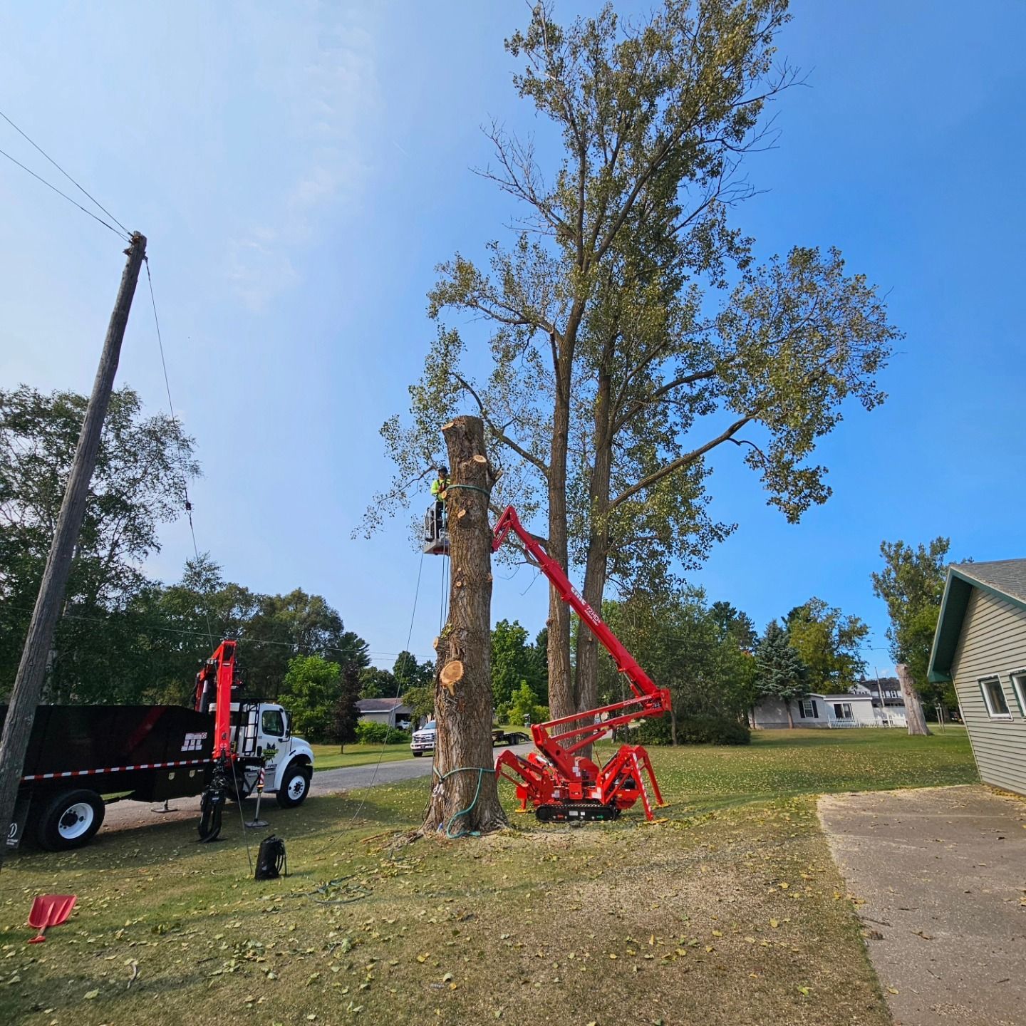A man is cutting down a tree with a crane in front of a house - Gaylord, MI - Stuckman Tree Service