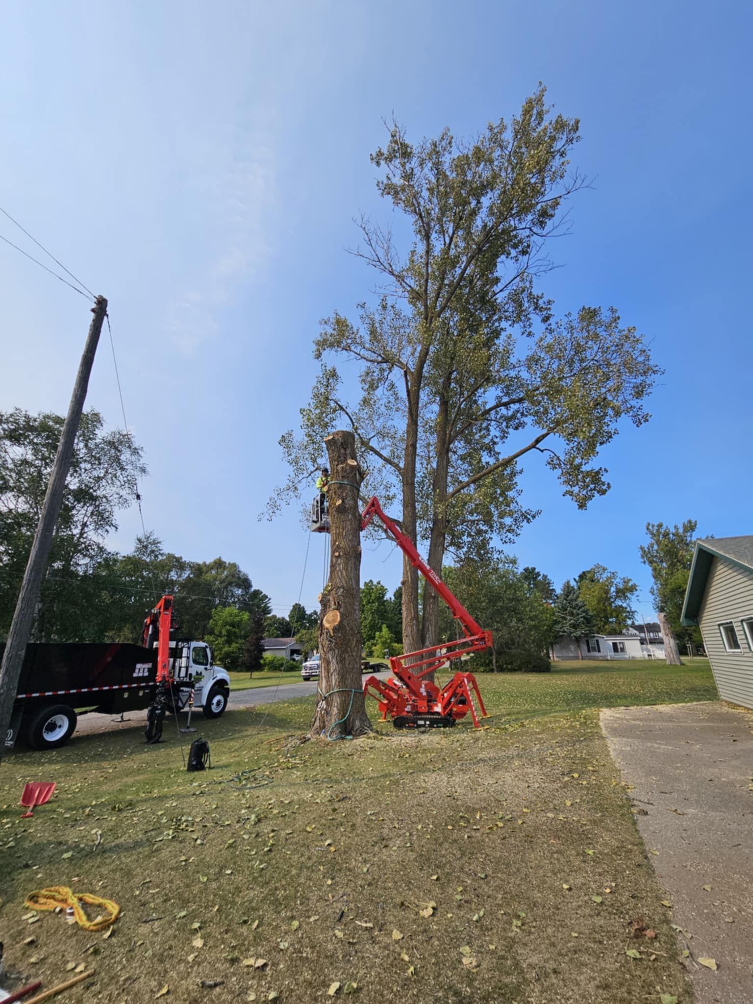 A man is cutting down a tree with a crane in a yard.