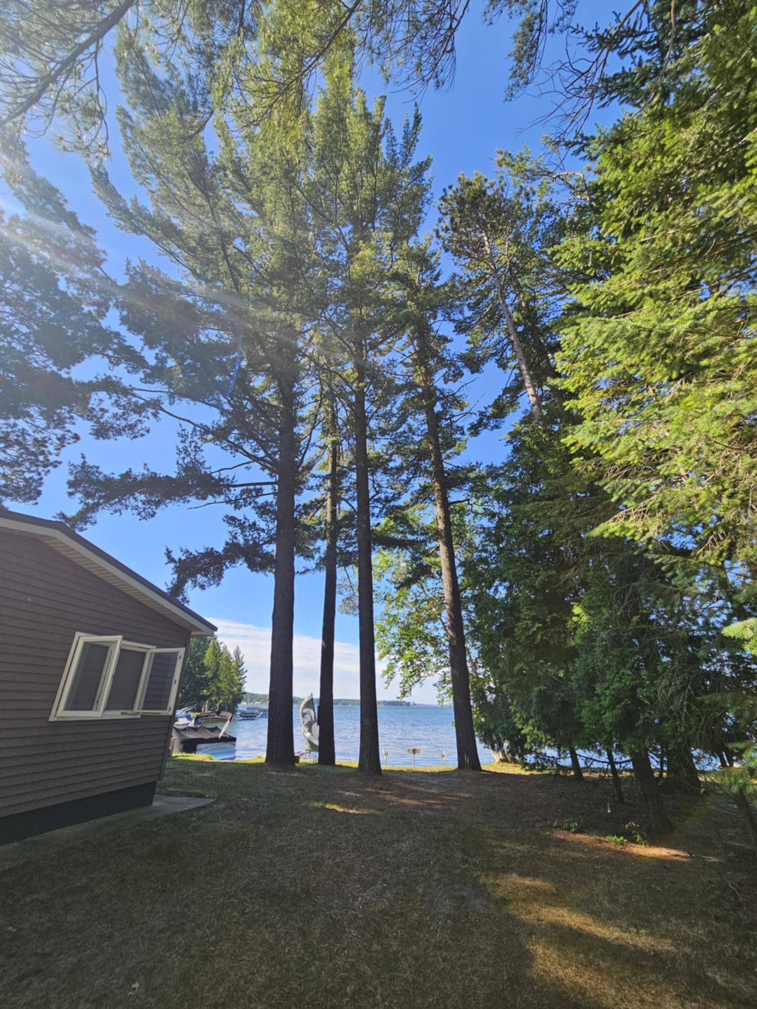 A house is surrounded by trees and a body of water.