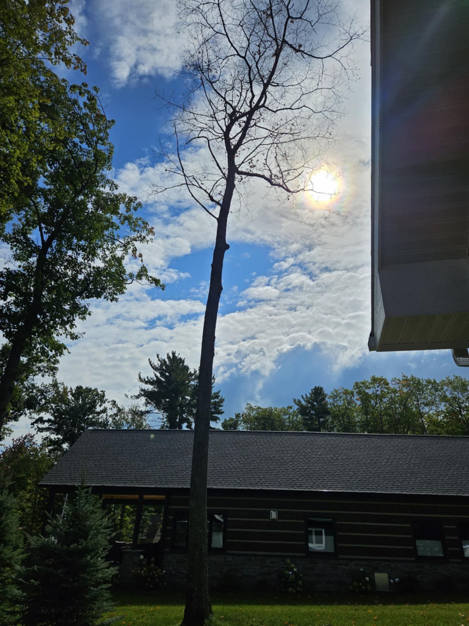 A tree in front of a house with the sun shining through the clouds