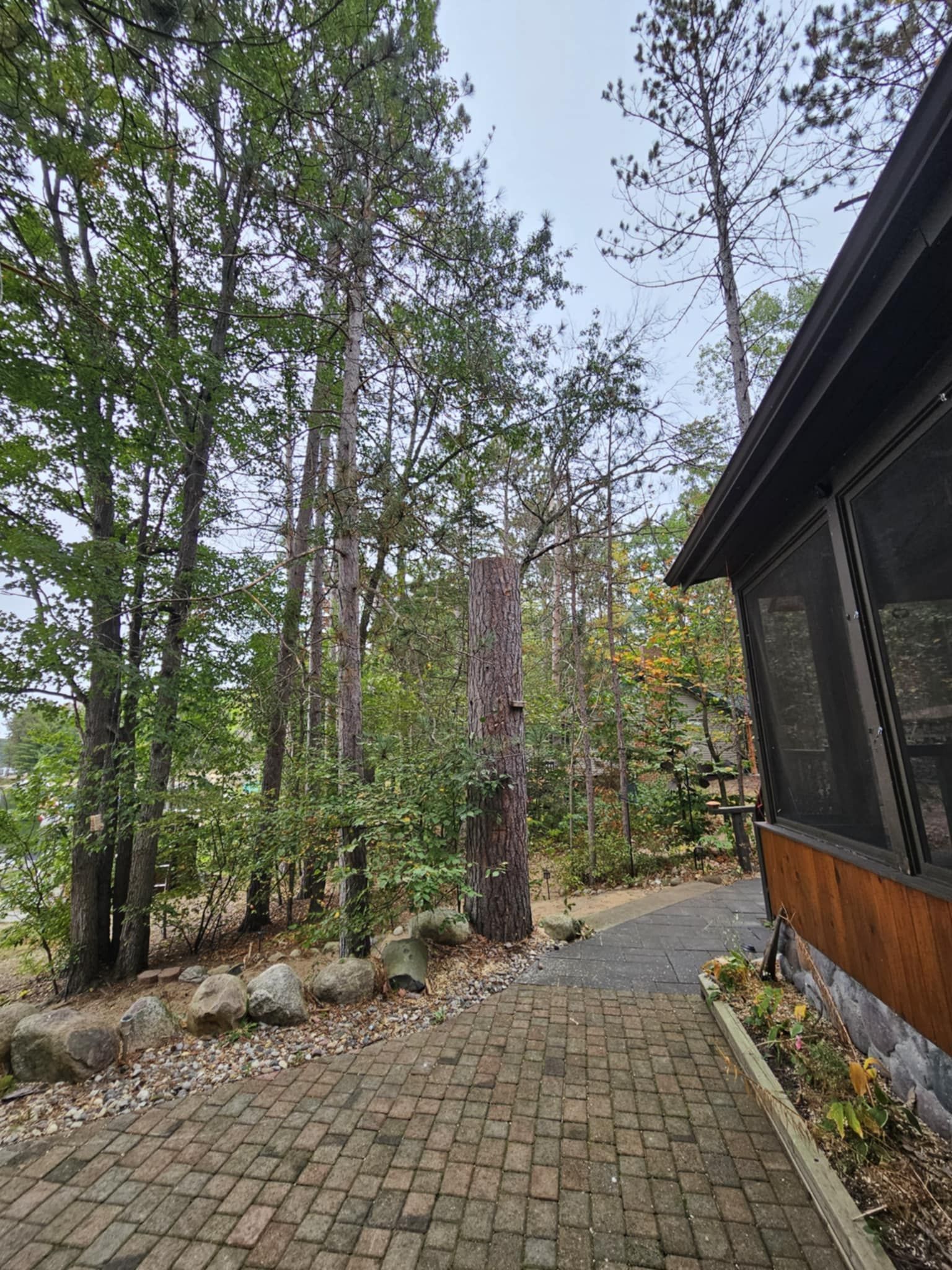 A brick walkway leading to a house surrounded by trees.