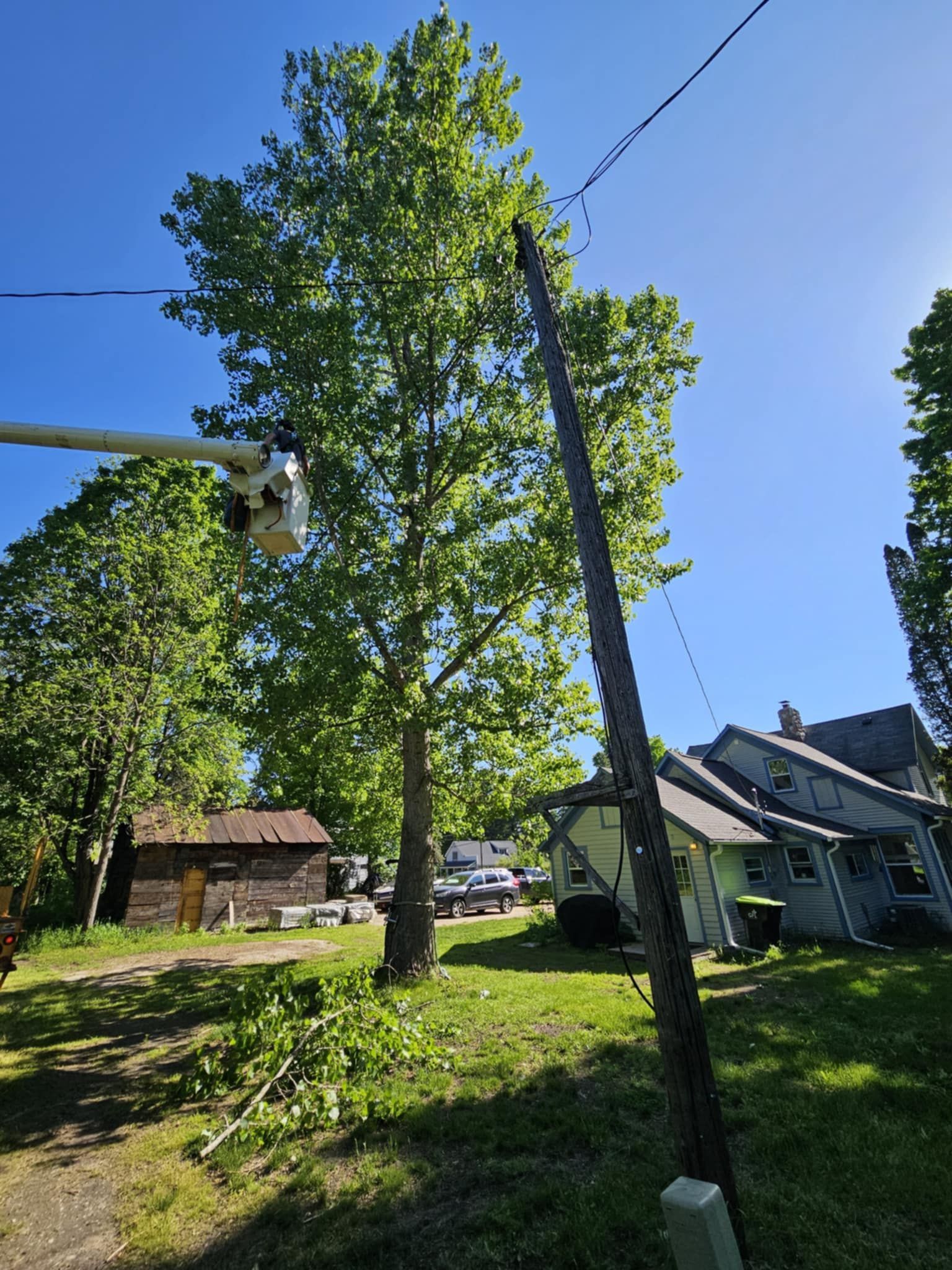 A tree is being removed from a power line in front of a house.