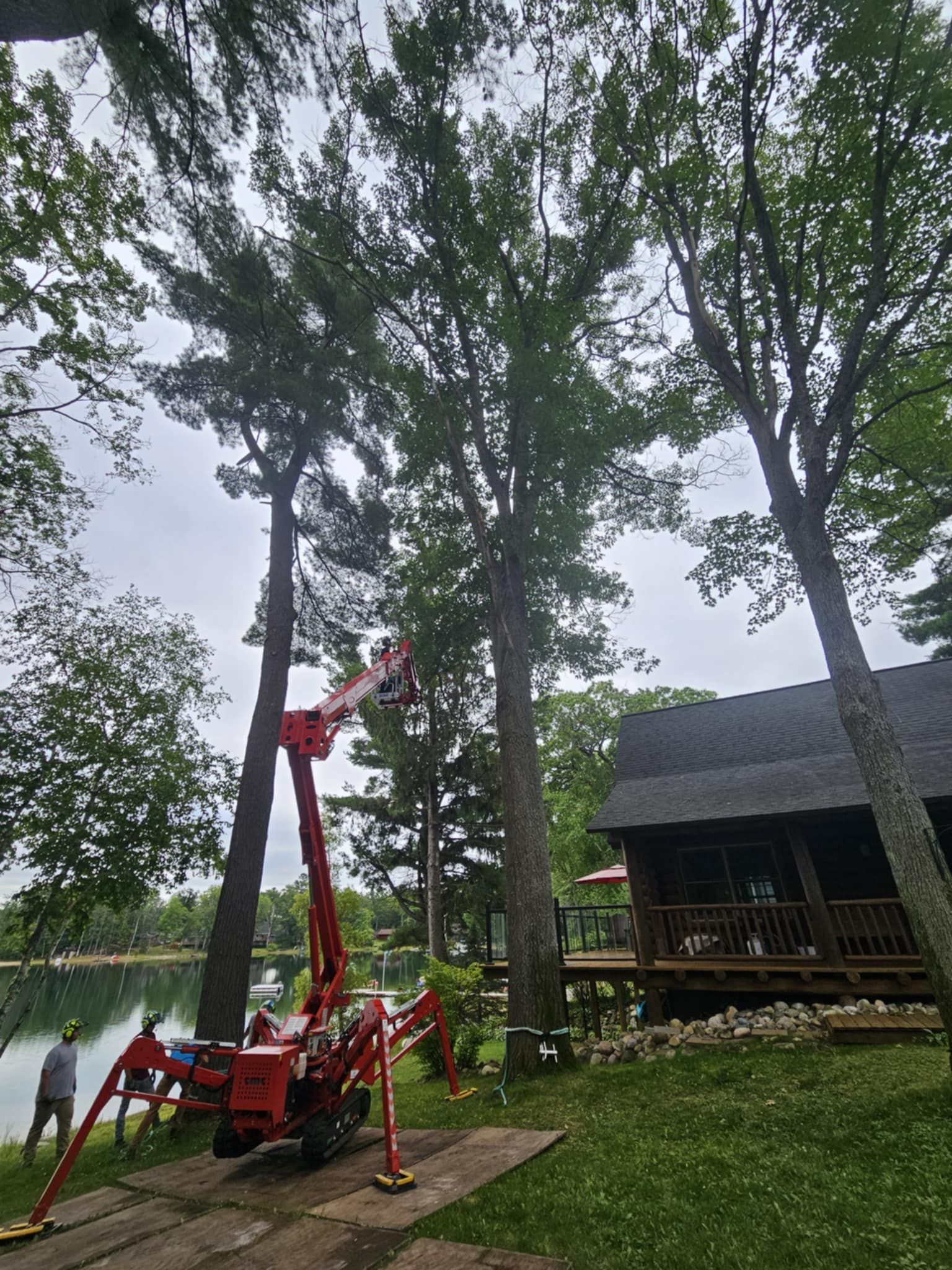 A crane is cutting a tree in front of a house.