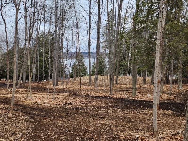 Mulching Landscape Trees — Gaylord, MI — Stuckman Tree Experts