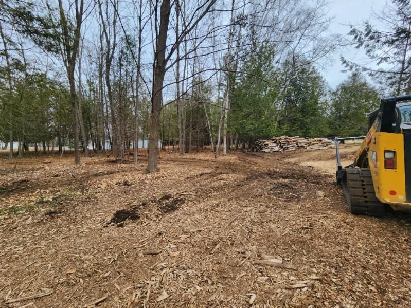 Tree Mulching and Cleaning — Gaylord, MI — Stuckman Tree Experts