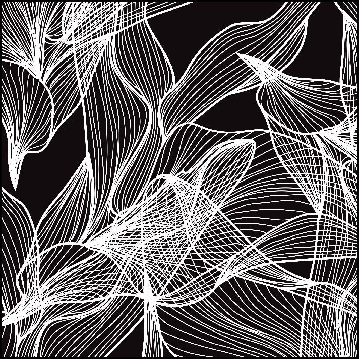 Líneas blancas que se asemejan a hojas y formas abstractas sobre un fondo negro.
