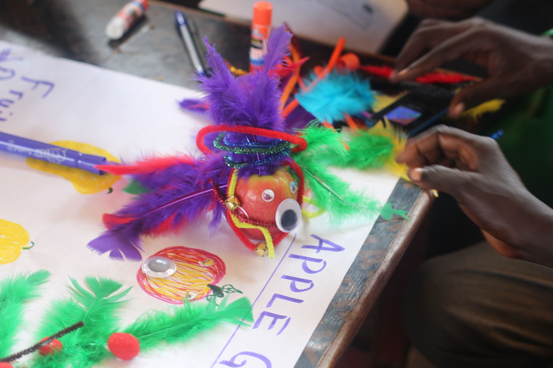 Diverse Educational Landscape