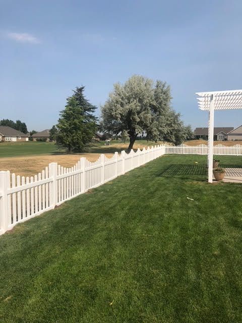 Backyard lawn with white picket fence, trees, and a pergola under a blue sky