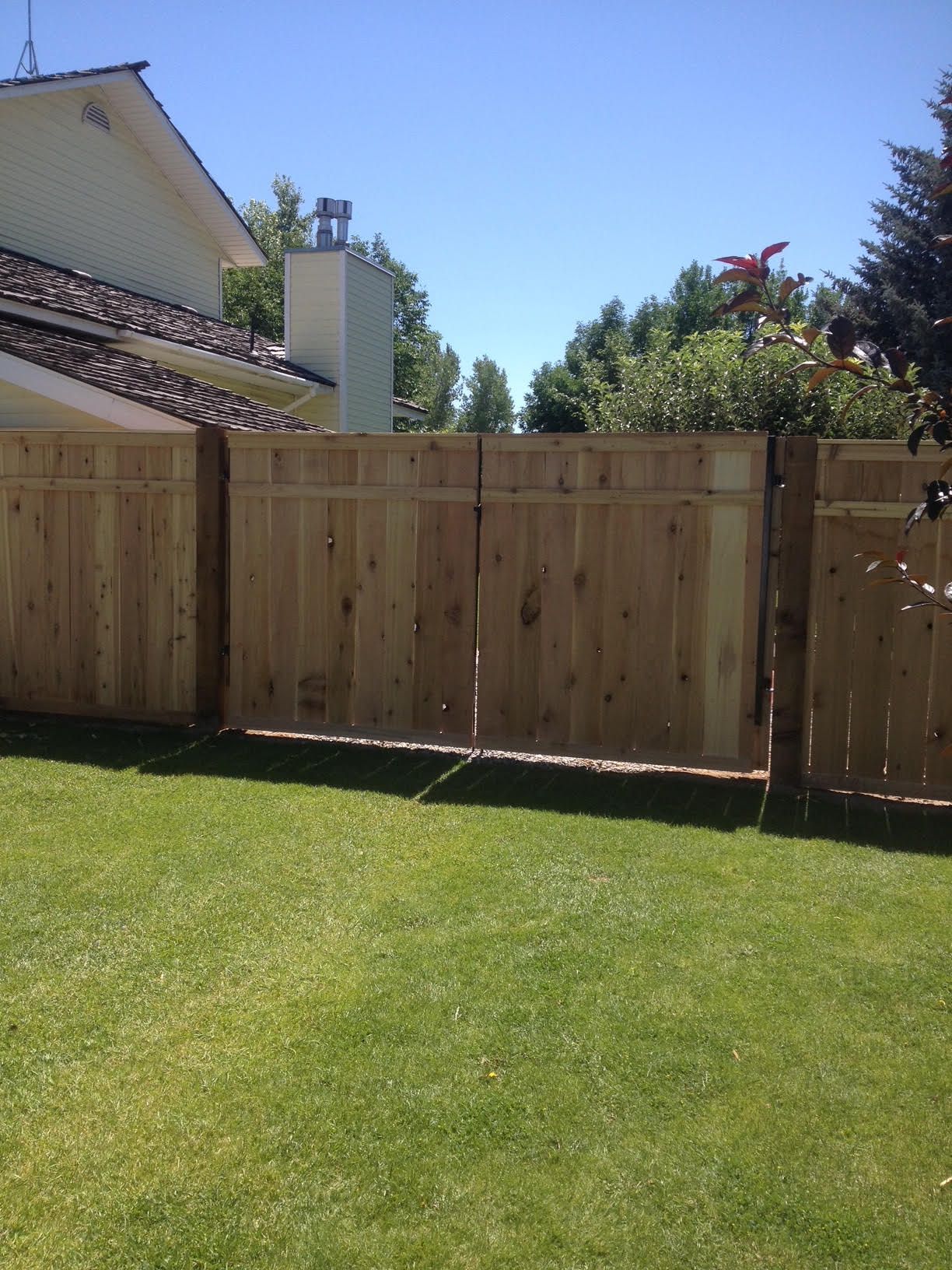 Wooden backyard fence with green lawn, trees, and a house roof under a clear blue sky