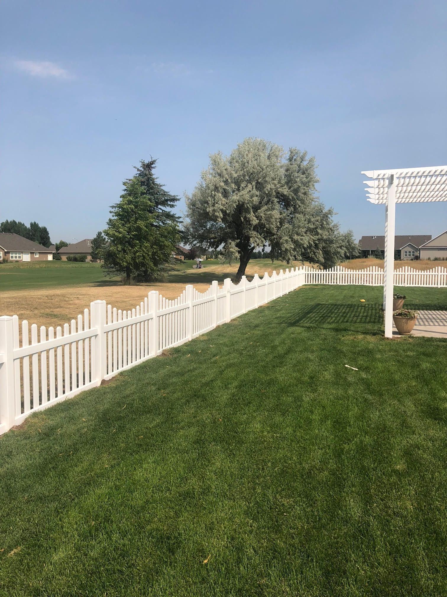 White picket fence beside a green lawn with a blossoming tree under a clear blue sky