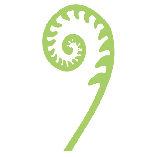 Green stylized spiral fern frond icon on a white background
