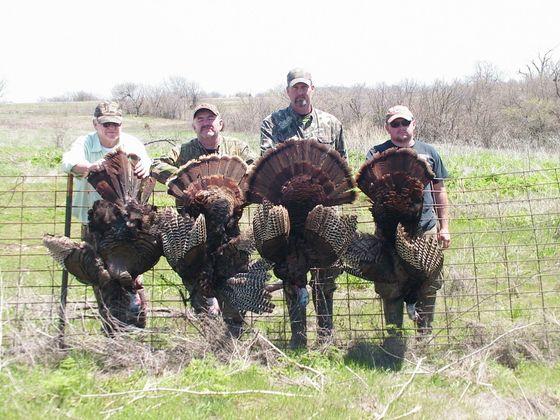 Kansas turkey hunting, Kansas turkey hunting guide, Outfitter