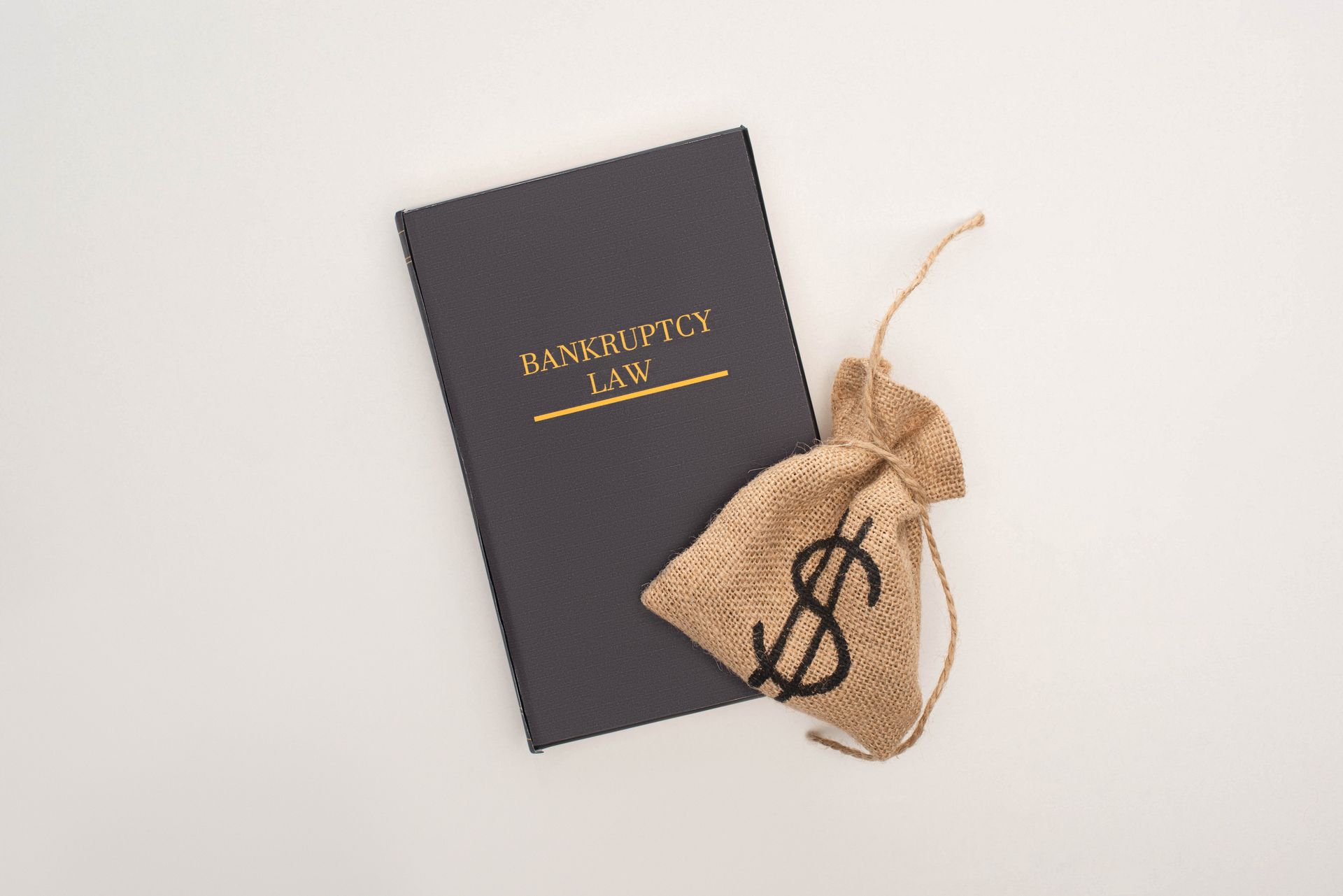 A book and a bag of money with a dollar sign on it.