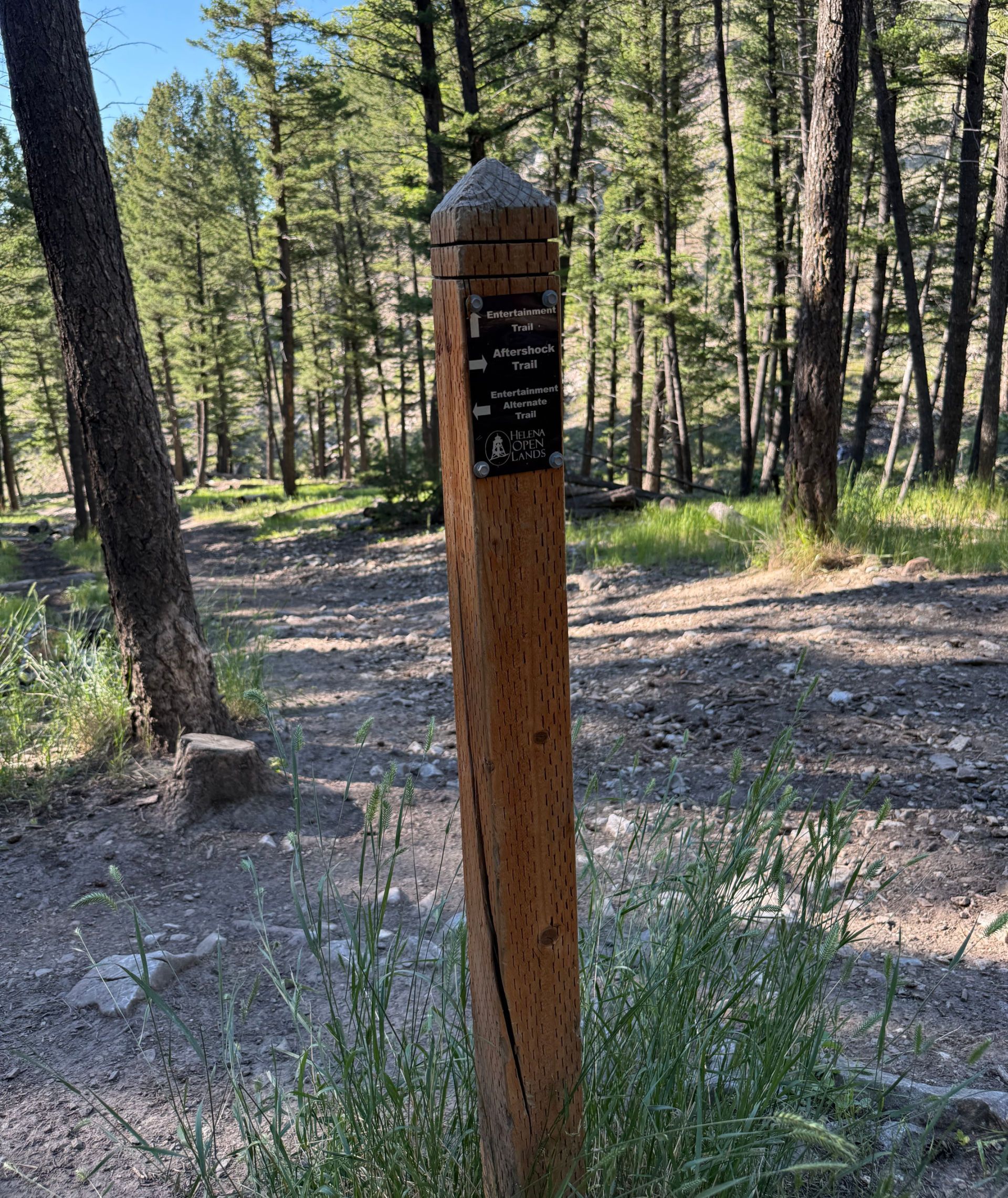 Wooden trail marker post with directional arrows at a forested trail junction in Helena, Montana