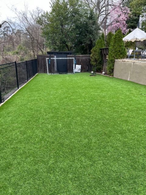 A large lawn with a soccer goal in the backyard.