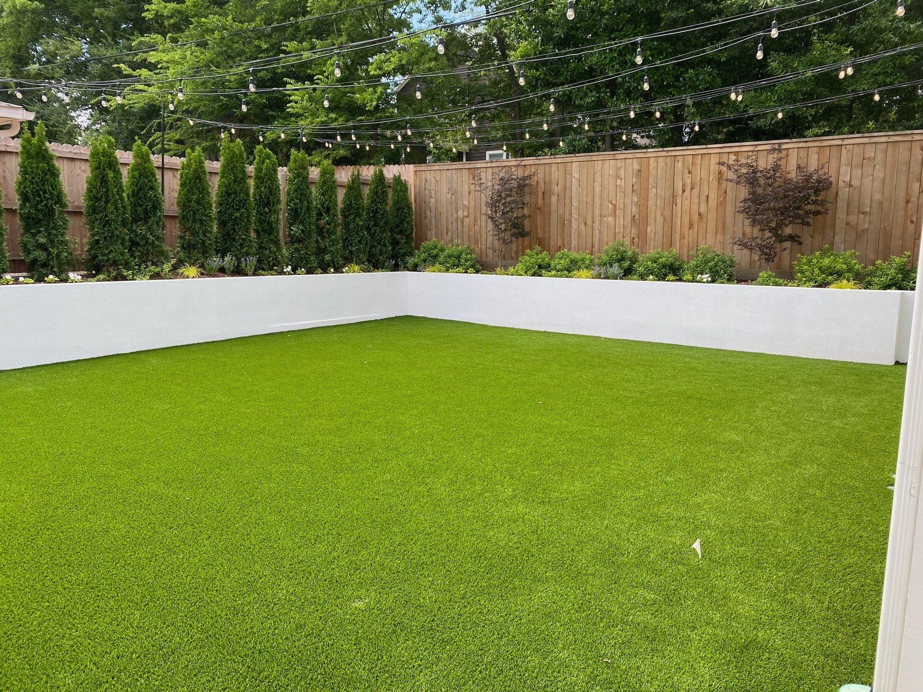 Picture of Luxury Lawn Grass in Arkansas