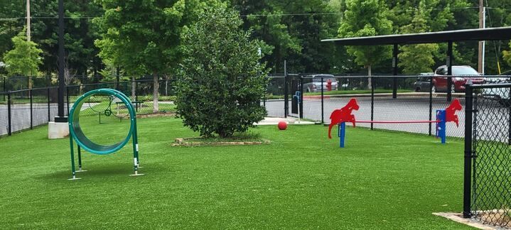 A dog park with agility equipment and a fence.